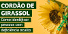 Câmara realiza capacitação sobre o Cordão de Girassol no dia 17 de novembro